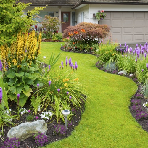 Landscaping